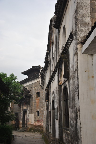 dsc_0331_С.jpg