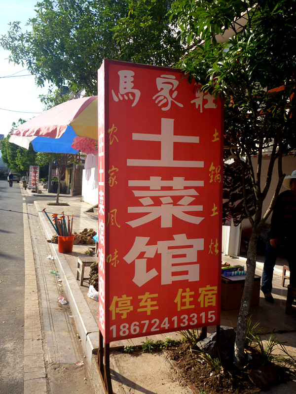 p1140982_.jpg