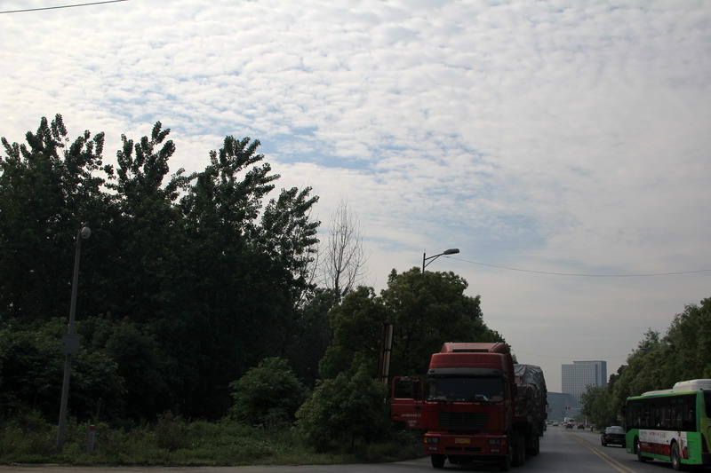 img_3395_СС.jpg