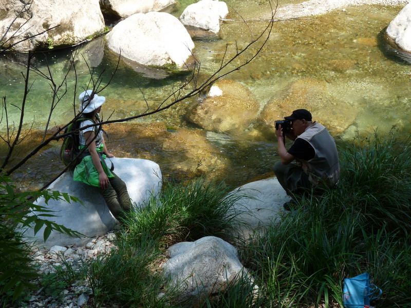 p1030243.jpg
