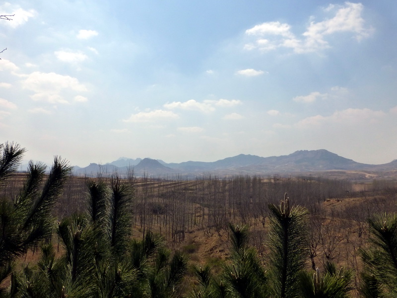 p1050621.jpg