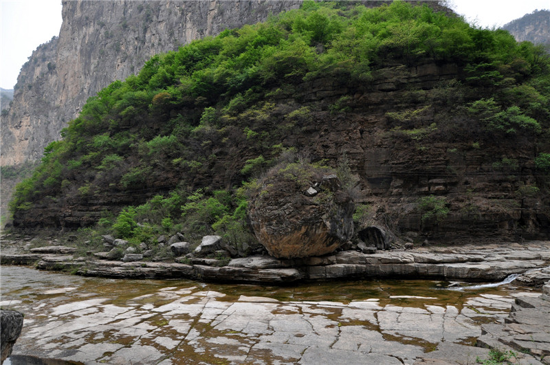 dsc_0065.jpg