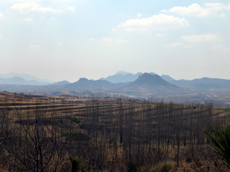 p1050622.jpg
