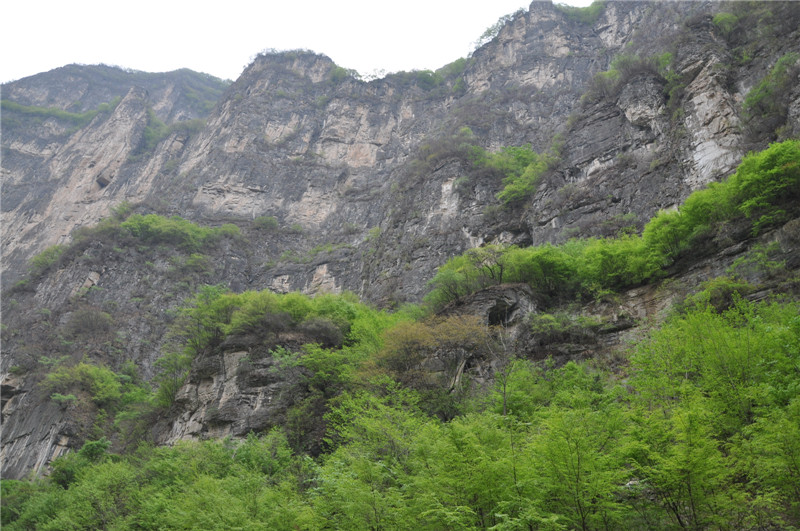 dsc_0089.jpg