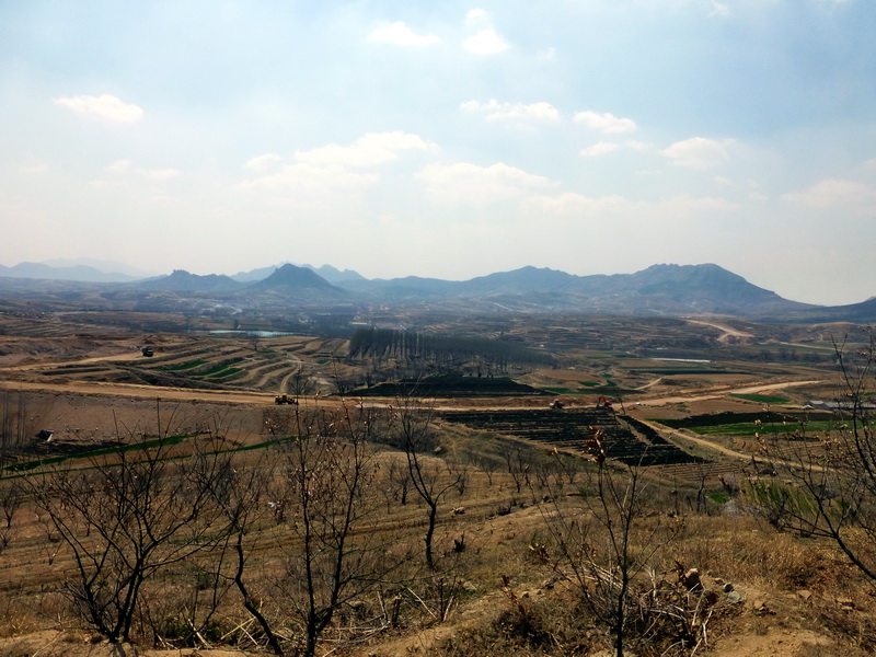 p1050641.jpg