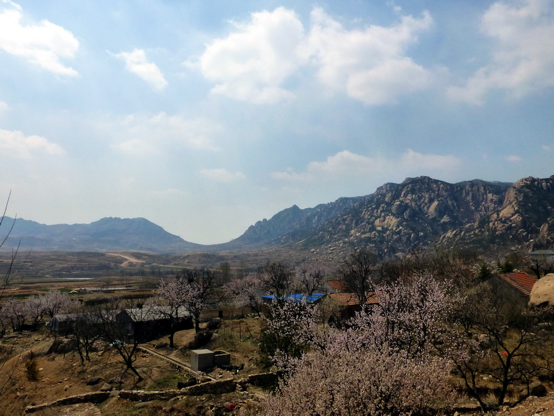 p1050650.jpg