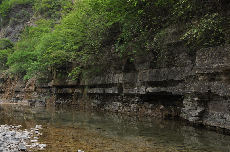 dsc_0093.jpg