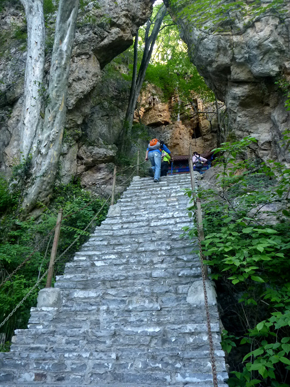 p1150024_.jpg