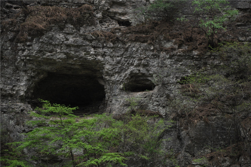 dsc_0106.jpg