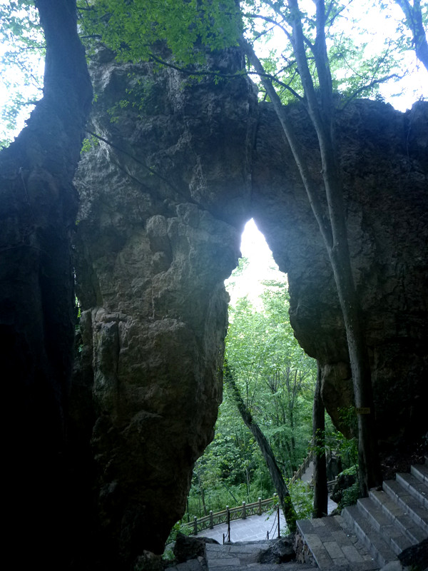 p1150031_.jpg