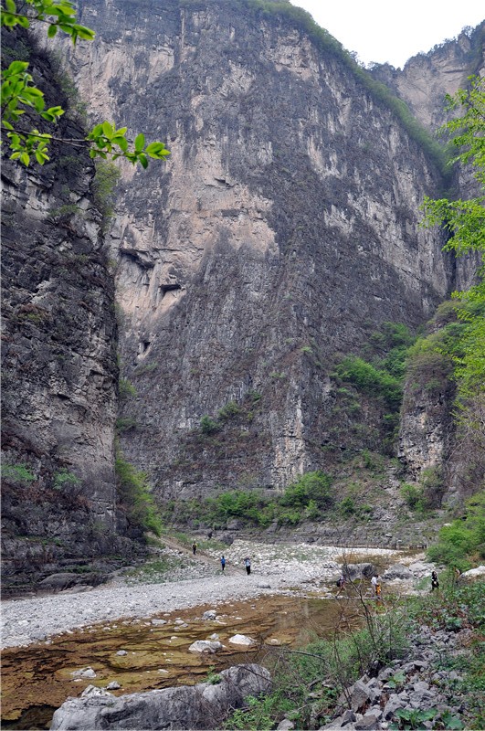 dsc_0107.jpg