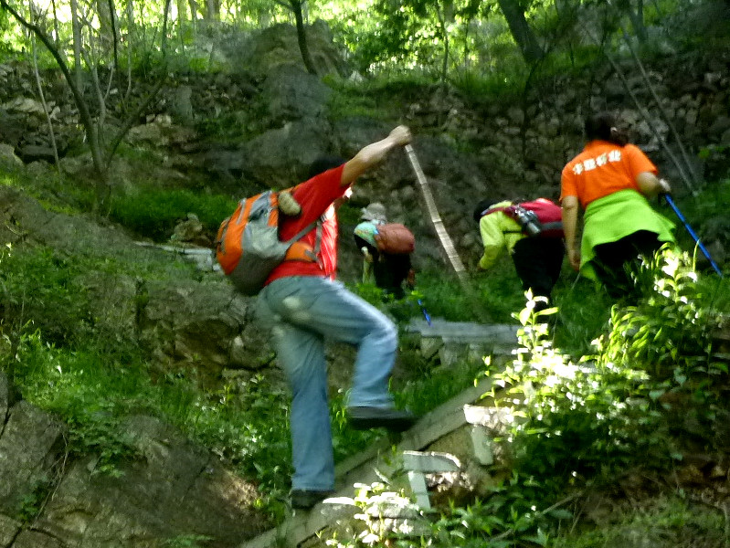 p1150046_.jpg