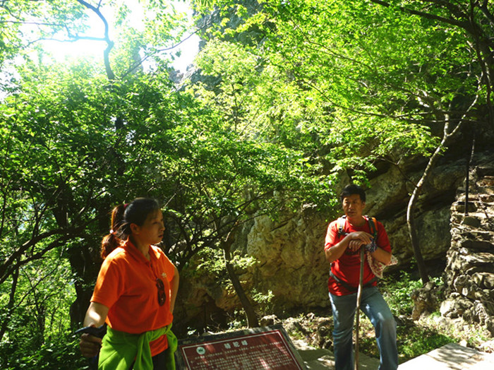 p1150062__.jpg