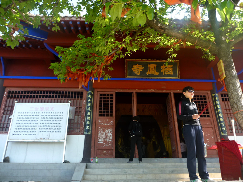 p1150065_.jpg