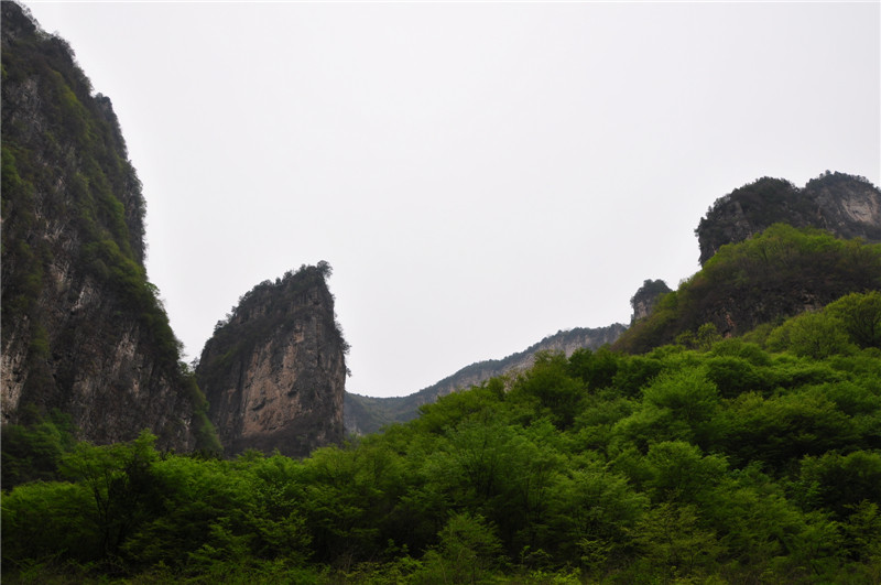 dsc_0152.jpg