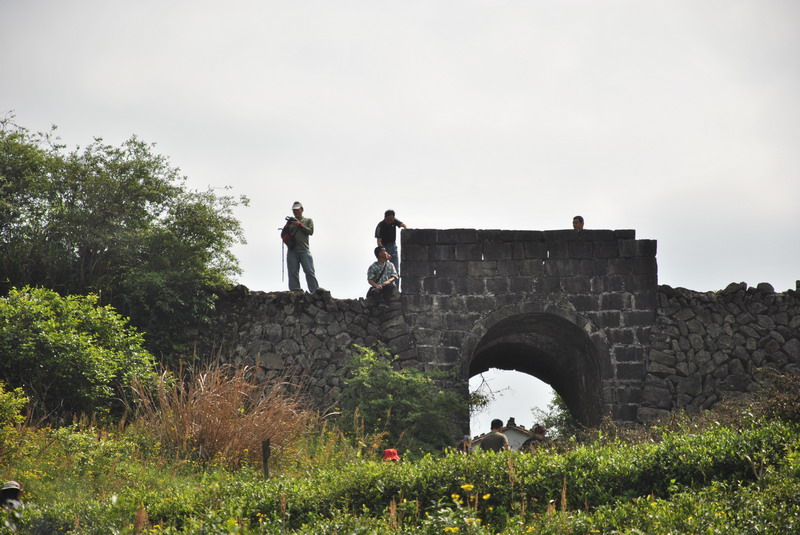 dsc_0391_С.jpg