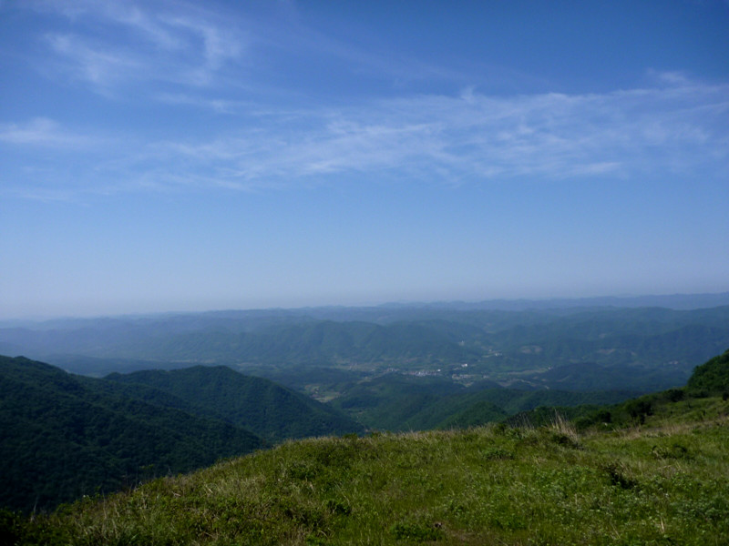 p1150105_.jpg