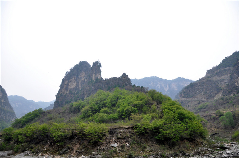 dsc_0216.jpg