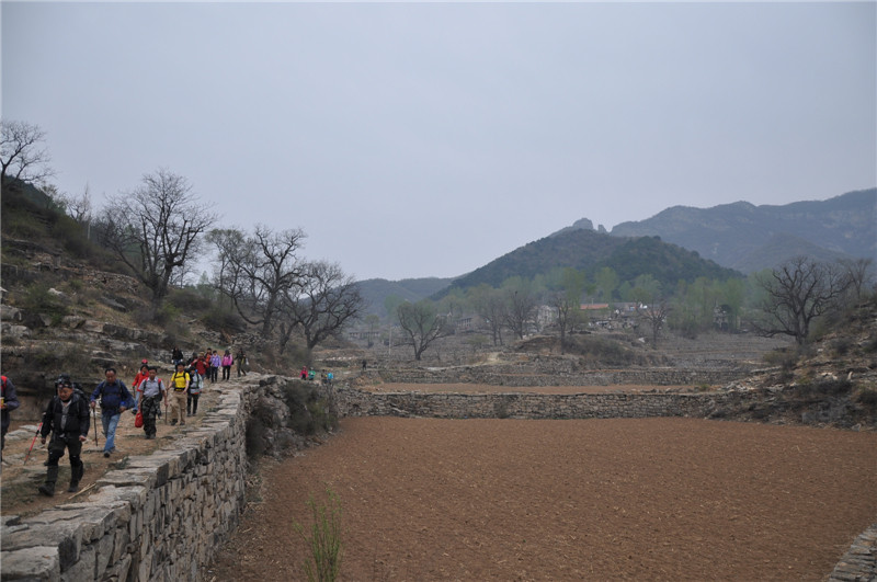 dsc_0317.jpg