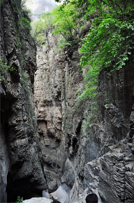 dsc_0364.jpg