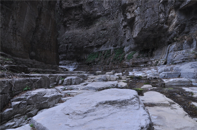 dsc_0370.jpg