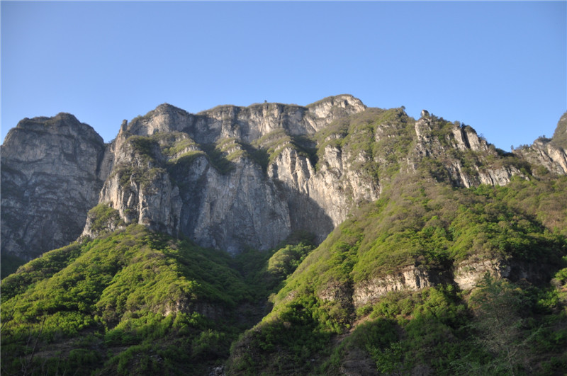 dsc_0406.jpg