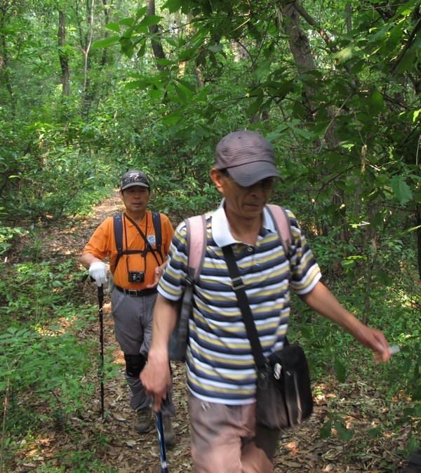 simg_8811.jpg