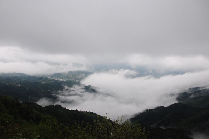 dsc_0085_neo_img.jpg