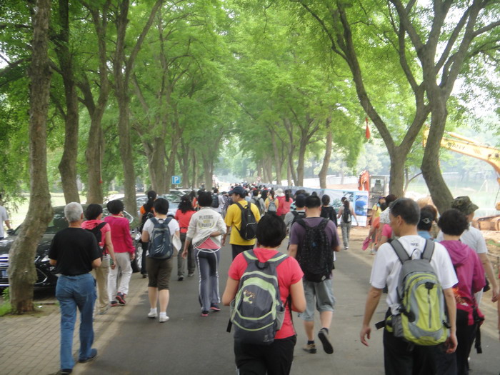 663-19.jpg