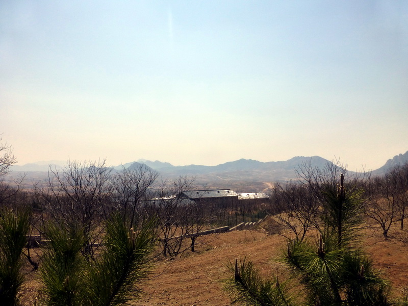 p1050844.jpg