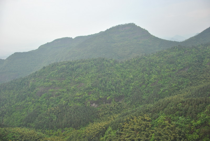dsc_0441_С.jpg