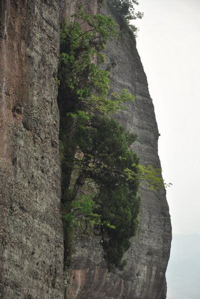 dsc_0438_С.jpg