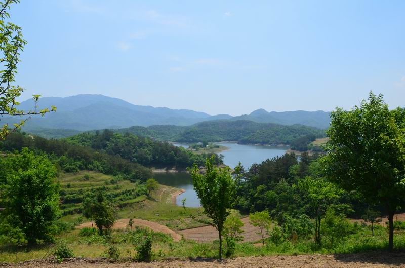 dsc_0234.jpg2.jpg