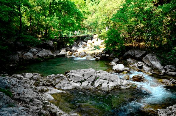 _dsc6430_.jpg