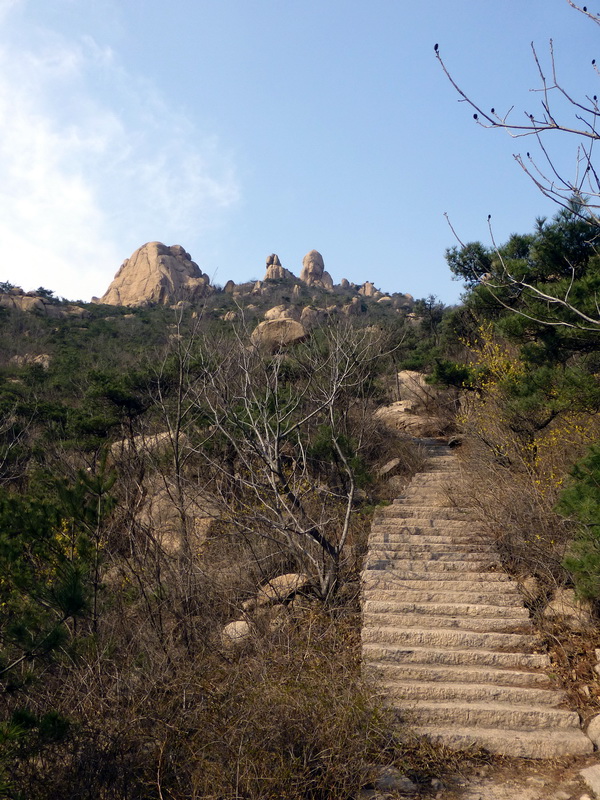 p1050866.jpg