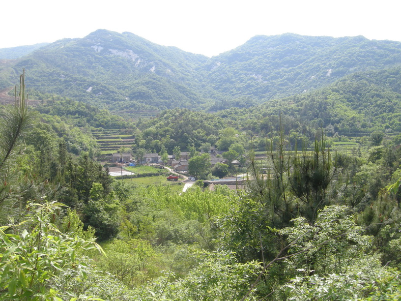 dscn8714.jpg