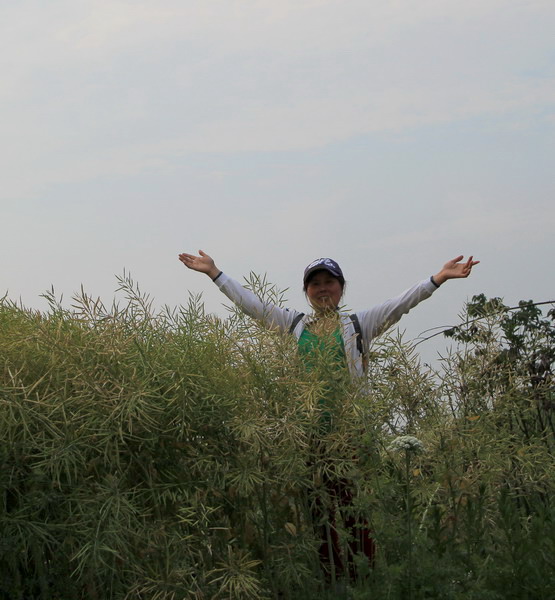 img_3764_СС.jpg