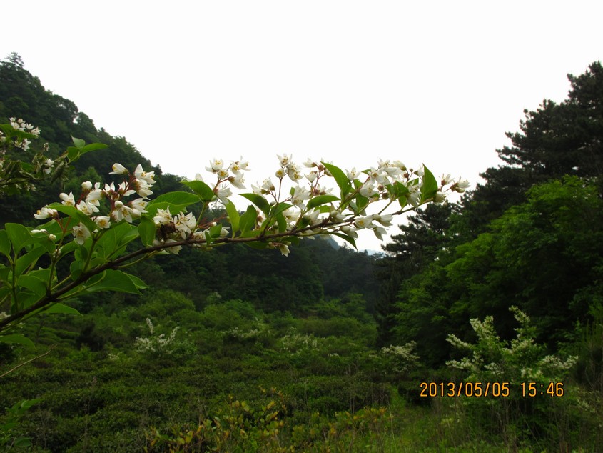 7`spnq}7p~k0hwcybk5ufry.jpg