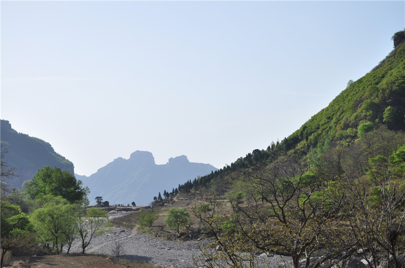 dsc_0425.jpg
