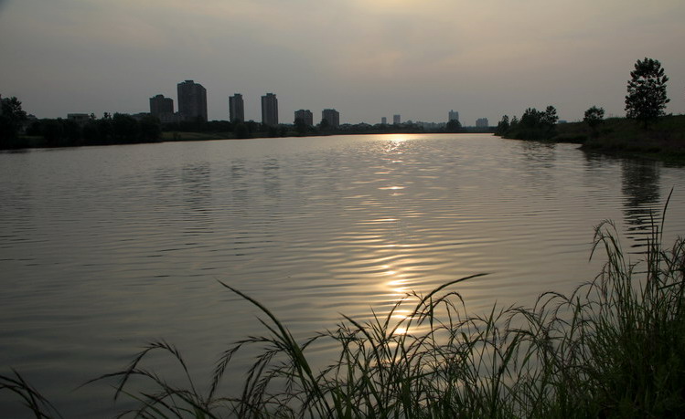 img_3868_СС.jpg