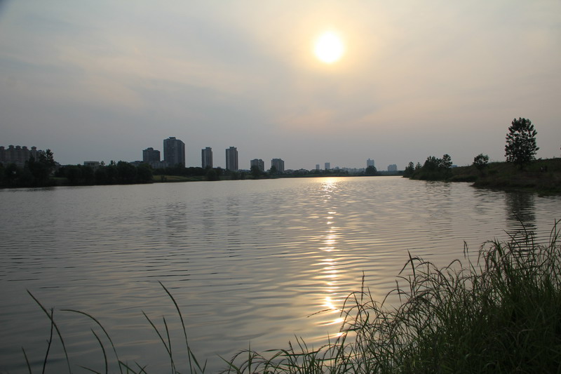 img_3874_СС.jpg