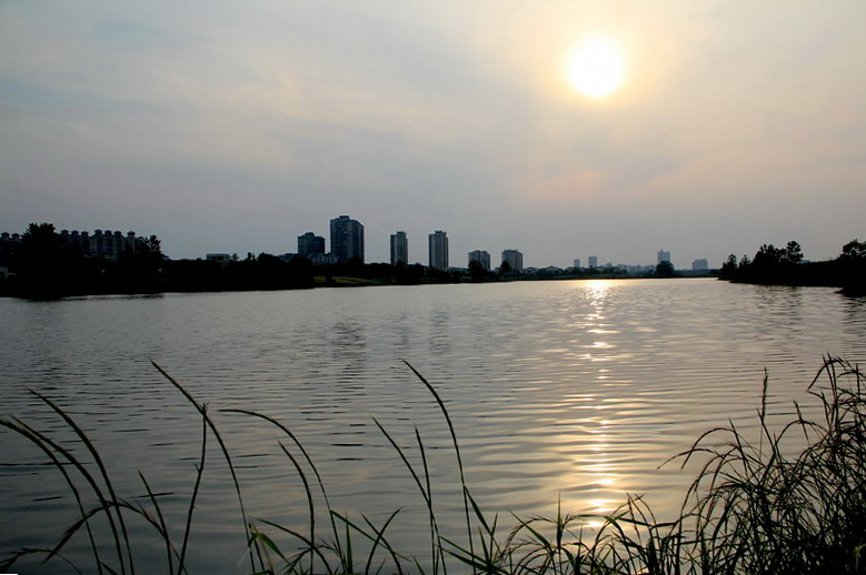 img_3876_СС.jpg