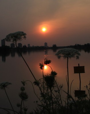 img_3964_СС.jpg