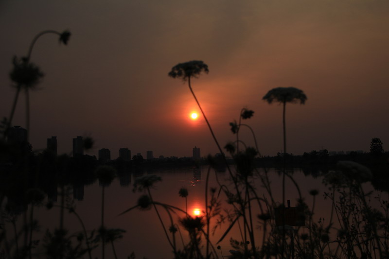 img_3969_СС.jpg