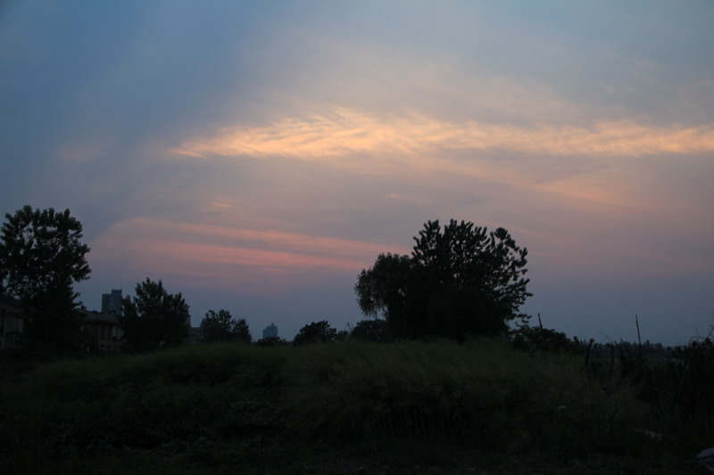 img_3983_СС.jpg