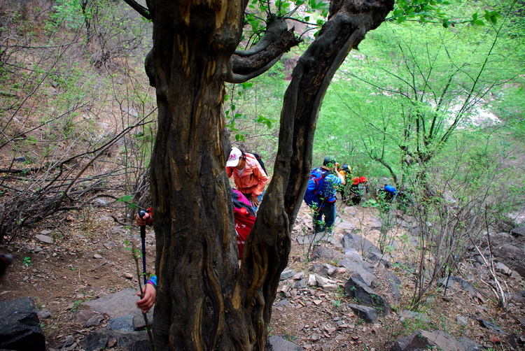 dsc_0122.jpg