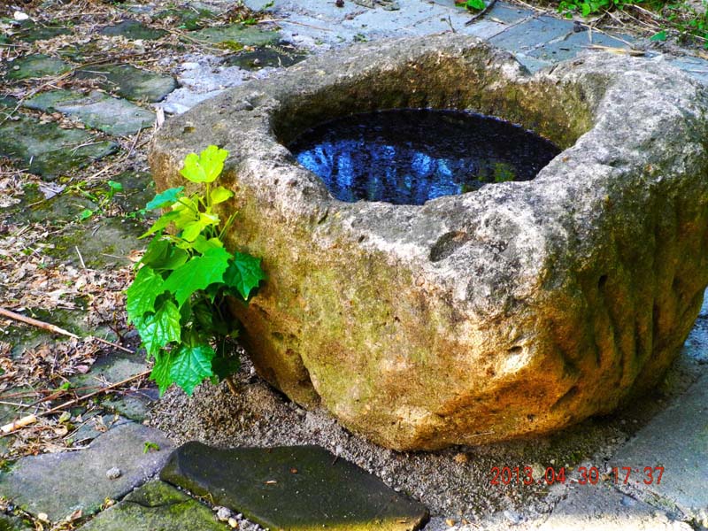 dscn6930.jpg
