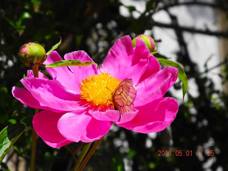 dscn7707.jpg