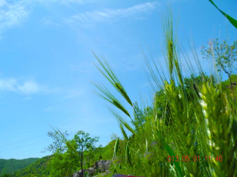 dscn7760.jpg