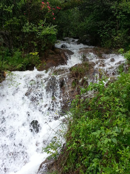20130430_112001_С.jpg